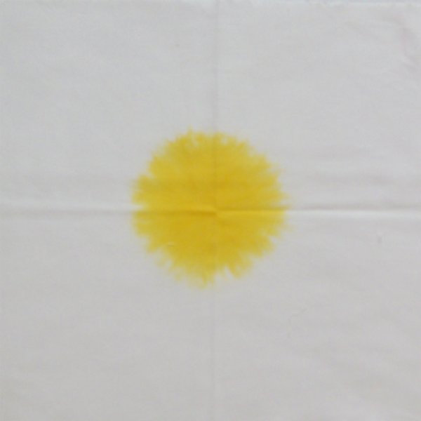 画像1: WA1白×黄色30cm×30cm_122a (1)